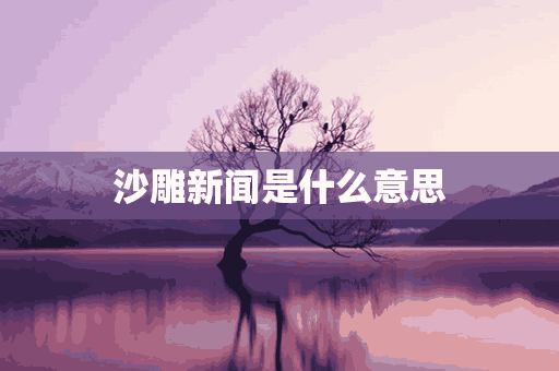 沙雕新闻是什么意思(沙雕新闻啥意思)